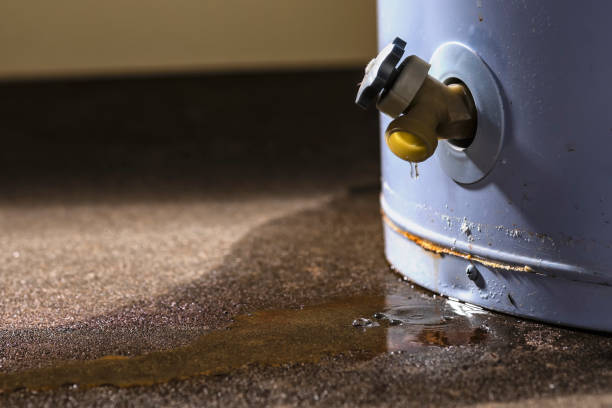 Best Carpet water damage restoration  in Woodridge, IL