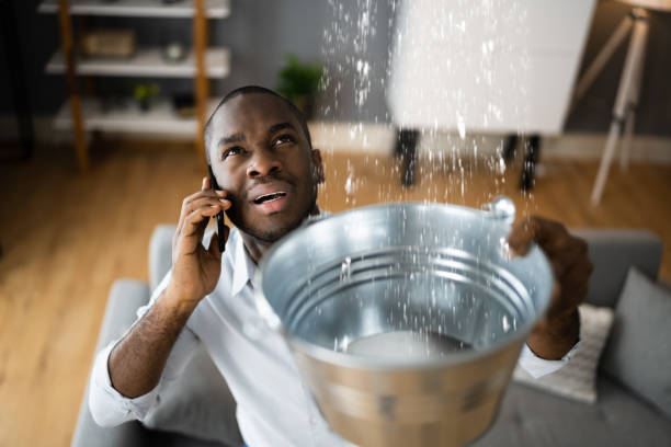 Best Water damage cleanup near me  in Woodridge, IL