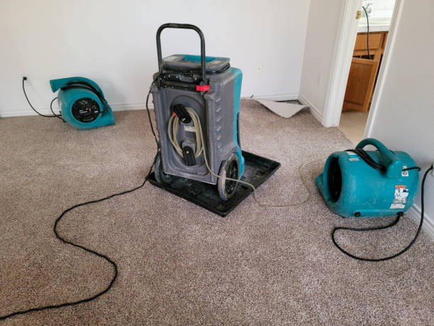 Best Water damage restoration insurance claims  in Woodridge, IL