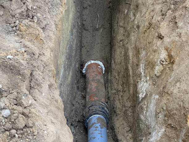 Best 24/7 water damage repair  in Woodridge, IL