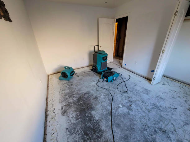 Best Flood restoration services  in Woodridge, IL