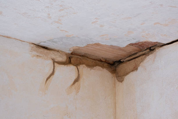 Best 24-hour water damage restoration  in Woodridge, IL