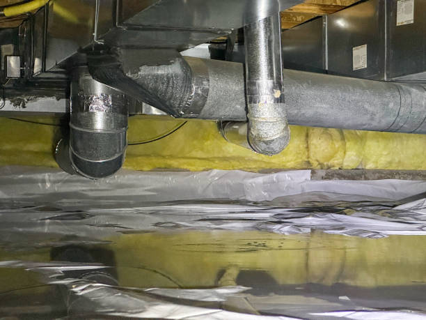 Best Flood damage cleanup  in Woodridge, IL